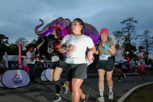 BIB: 
                            <button type="button" onclick="openModal(26529631)" class="btn btn-primary btn-sm float-right btn-popup" data-toggle="modal" data-target=".modal-high-quality">
                        <i class="fas fa-shopping-cart"></i> Add to Cart
                    </button>
                                            <button type="button" onclick="isThisMe(26529631, true)" class="btn btn-success btn-sm float-right btn-popup btn-isme hidden" data-toggle="tooltip" data-placement="bottom" title="นี่คือรูปของคุณใช่ไหม คลิกที่นี่เพื่อเอาเข้าอัลบั้ม">
                        <i class="fas fa-plus"></i> Add to album
                    </button>
                    <button type="button" onclick="isThisMe(26529631, false)" class="btn btn-warning btn-sm float-right btn-popup btn-isnotme hidden">
                        <i class="fas fa-ban"></i> Remove from album
                    </button>